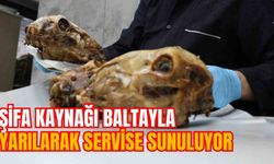 ŞİFA KAYNAĞI BALTAYLA YARILARAK SERVİSE SUNULUYOR