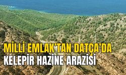 MİLLİ EMLAK’TAN DATÇA’DA KELEPİR HAZİNE ARAZİSİ