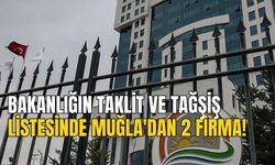 BAKANLIĞIN TAKLİT VE TAĞŞİŞ LİSTESİNDE MUĞLA'DAN 2 FİRMA!