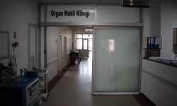 Organ Naklinde Skandal: Sahte Belgeyle Böbrek ve Karaciğer Naklettiler