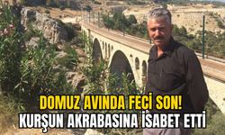 DOMUZ AVINDA FECİ SON! KURŞUN AKRABASINA İSABET ETTİ