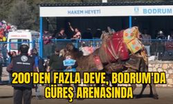 200'DEN FAZLA DEVE, BODRUM'DA GÜREŞ ARENASINDA