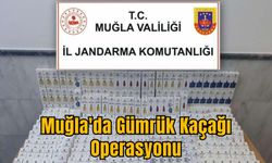 Muğla'da Gümrük Kaçağı Operasyonu