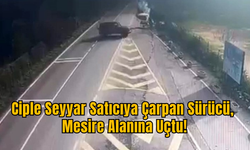 Ciple Seyyar Satıcıya Çarpan Sürücü, Mesire Alanına Uçtu!