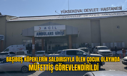 Başıboş köpeklerin saldırısıyla ölen çocuk olayında müfettiş görevlendirildi