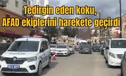 Tedirgin Eden Koku, AFAD Ekiplerini Harekete Geçirdi