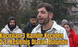 Kaçırılan 3 Hamile Keçiden 2’si Kesilmiş Olarak Bulundu