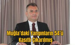 Muğla’daki Yangınların 54’ü Kasıtlı Çıkarılmış