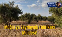 Muğla'ya Zeytinyağı Fabrikası Müjdesi!