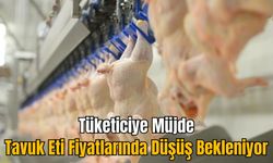 Tüketiciye Müjde: Tavuk Eti Fiyatlarında Düşüş Bekleniyor