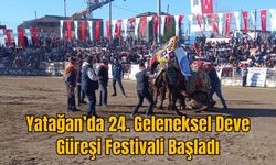 Yatağan’da 24. Geleneksel Deve Güreşi Festivali Başladı