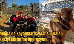 Muğla'da Kayalıklarda Mahsur Kalan Keçiyi Kurtarma Operasyonu