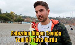 Falezden Düşen Tavuğa Yeni Bir Yuva Kurdu