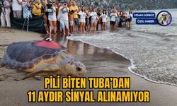 PİLİ BİTEN TUBA’DAN 11 AYDIR SİNYAL ALINAMIYOR