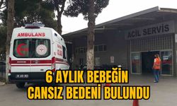 6 AYLIK BEBEĞİN CANSIZ BEDENİ BULUNDU