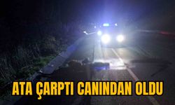 ATA ÇARPTI CANINDAN OLDU