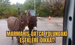 MARMARİS-DATÇA YOLUNDAKİ EŞEKLERE DİKKAT!