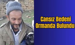 Cansız Bedeni Ormanda Bulundu