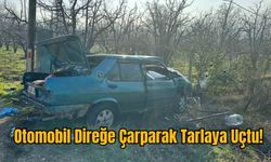 Otomobil Direğe Çarparak Tarlaya Uçtu!