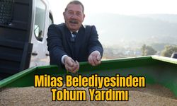 Milas Belediyesinden Tohum Yardımı