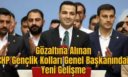 Gözaltına Alınan CHP Gençlik Kolları Genel Başkanından Yeni Gelişme