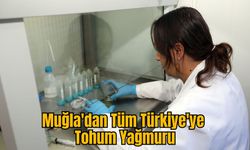 Muğla'dan Tüm Türkiye'ye Tohum Yağmuru