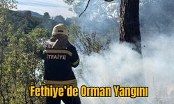 Fethiye’de Orman Yangını