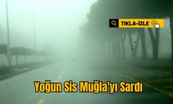 Yoğun Sis Muğla'yı Sardı