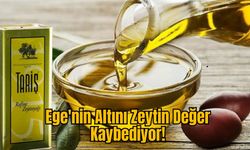 Ege'nin Altını Zeytin Değer Kaybediyor!