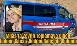 Milas’ta Zeytin Toplamaya Giden Kadının Cansız Bedeni Bahçede Bulundu