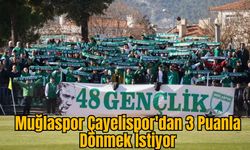 Muğlaspor Çayelispor'dan 3 Puanla Dönmek İstiyor