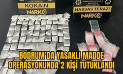 BODRUM’DA YASAKLI MADDE OPERASYONUNDA 2 KİŞİ TUTUKLANDI