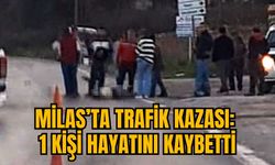 MİLAS'TA TRAFİK KAZASI: 1 KİŞİ HAYATINI KAYBETTİ