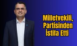 Milletvekili, Partisinden İstifa Etti