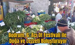 Bodrum, 6. Acı Ot Festivali ile Doğa ve Lezzeti Buluşturuyor
