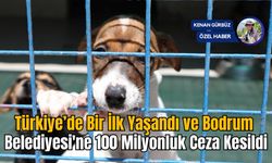 Türkiye’de Bir İlk Yaşandı ve Bodrum Belediyesine 100 Milyonluk Ceza Kesildi