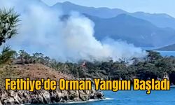 Fethiye'de Orman Yangını Başladı