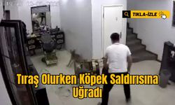 Tıraş Olurken Köpek Saldırısına Uğradı