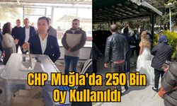 CHP Muğla'da 250 Bin Oy Kullanıldı