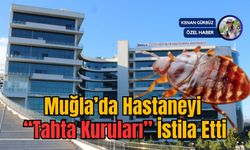 Muğla’da Hastaneyi “Tahta Kuruları” İstila Etti