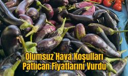 Olumsuz Hava Koşulları Patlıcan Fiyatlarını Vurdu: Tüketici Zorlanıyor