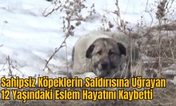 Sahipsiz Köpeklerin Saldırısına Uğrayan 12 Yaşındaki Eslem Hayatını Kaybetti