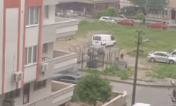 Muğla’da Domuzun Köpeğe Saldırısı Kameraya Yansıdı