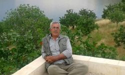 Aile Faciası: Babasını Bıçakladı, Annesi Ağır Yaralandı