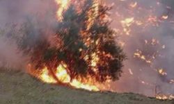 Fırtına Alevleri Büyüttü, İtfaiye Felaketi Önledi
