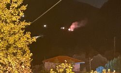 Menteşe'de Orman Yangını Başladı
