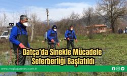 Datça’da Sinekle Mücadele Seferberliği Başlatıldı