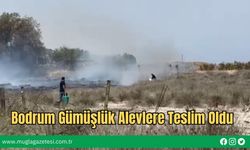 Bodrum Gümüşlük Alevlere Teslim Oldu