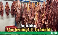 Son Dakika: 3 Ton Bozulmuş At Eti Ele Geçirildi