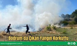 Bodrum’da Çıkan Yangın Korkuttu